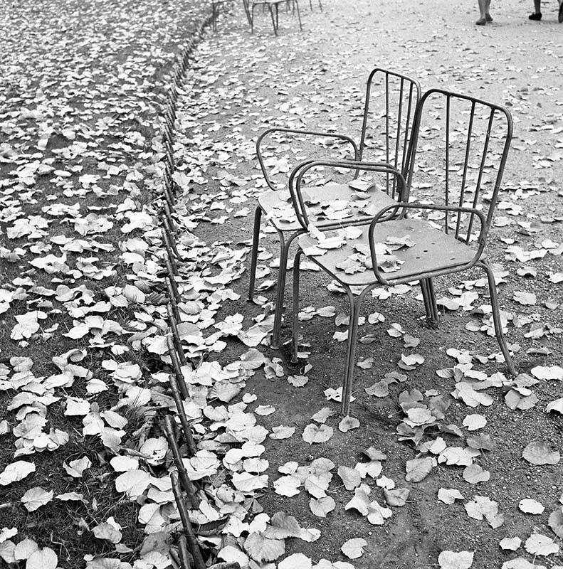 GM2006-paris-chaises luxembourg